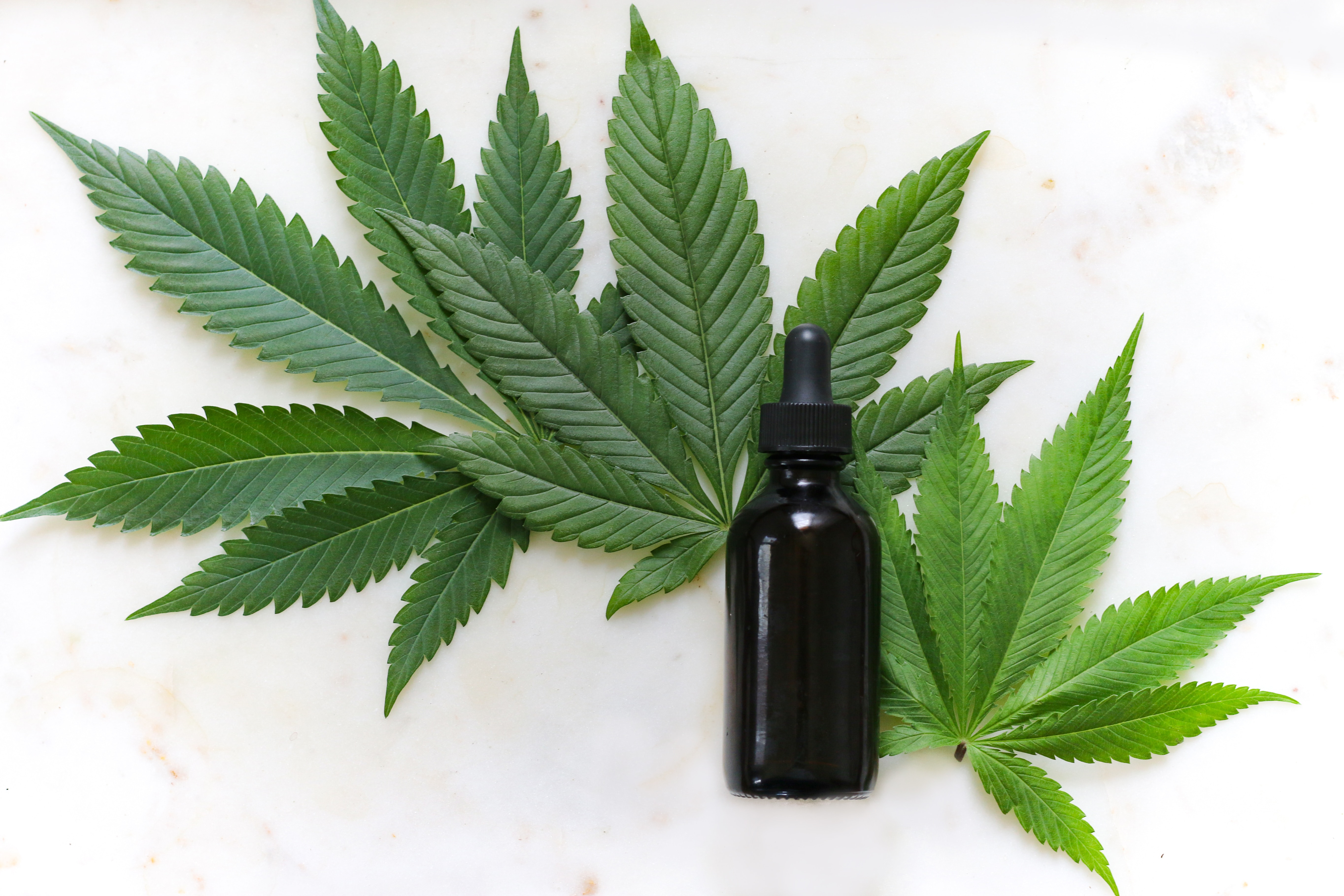 大麻の種類 合法 違法な部位 成分を徹底解説 大麻の歴史
